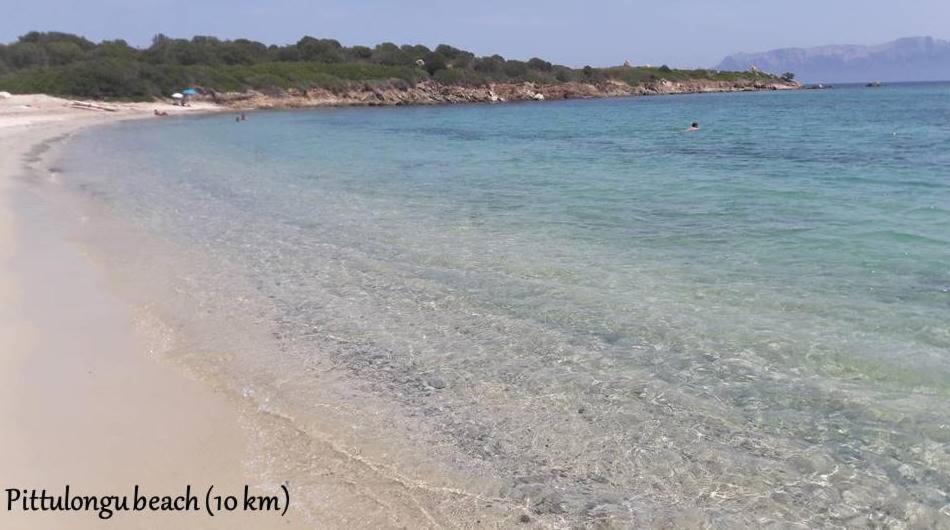 Marina Seaview Lägenhet Olbia Exteriör bild